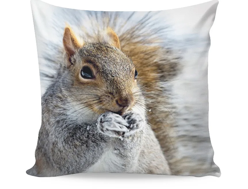 Dekorační povlak Squirrel