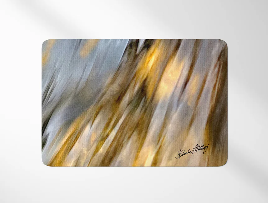 Prostírání Earth