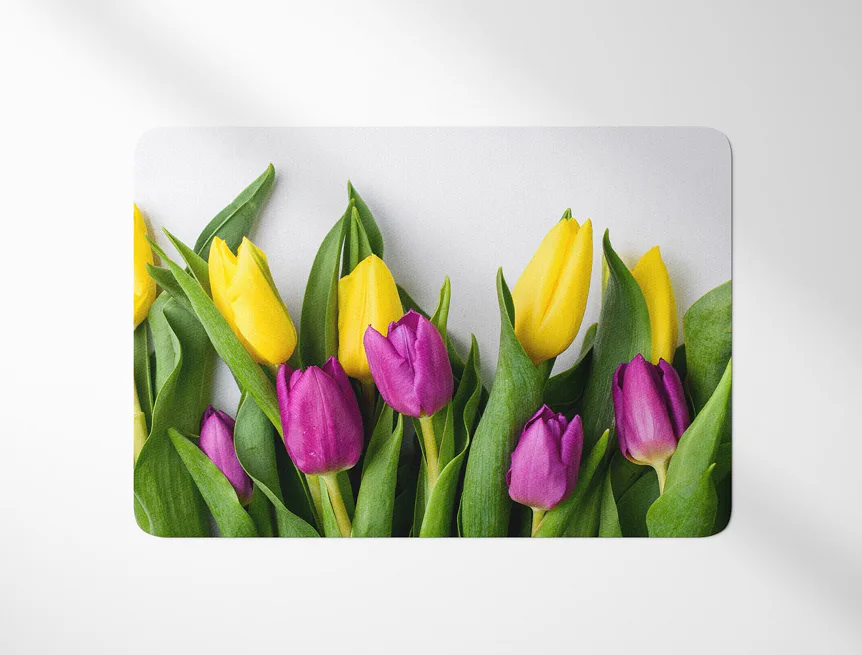 Prostírání Jarní tulipány
