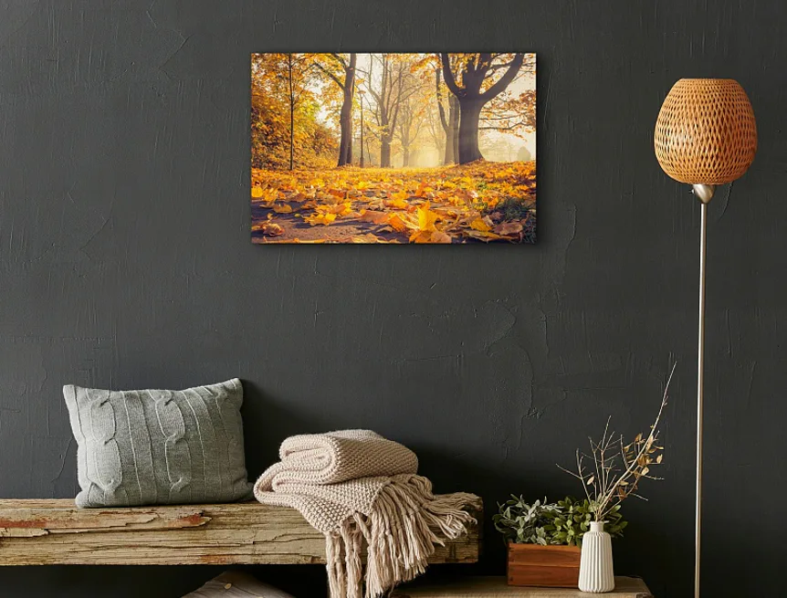 Obraz Autumn Road